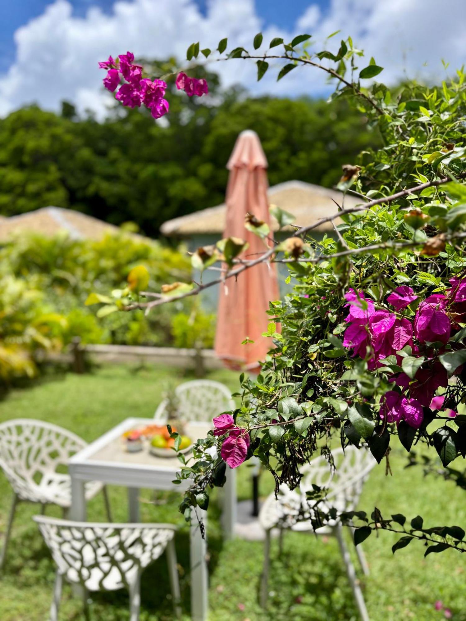 L Oralya - Blue Dream, Plage, Piscine, Restaurant Grand-Bourg  Ngoại thất bức ảnh